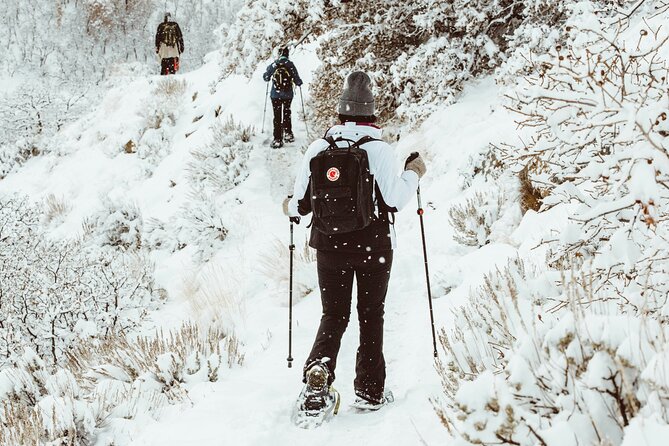 Snowshoeing tour with Wild Lunch - Clothing Matters More Than the Snowshoes