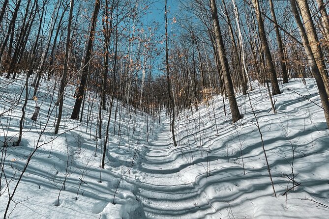 Snowshoeing tour with Wild Lunch - Timing, Pickup, and Cancellation