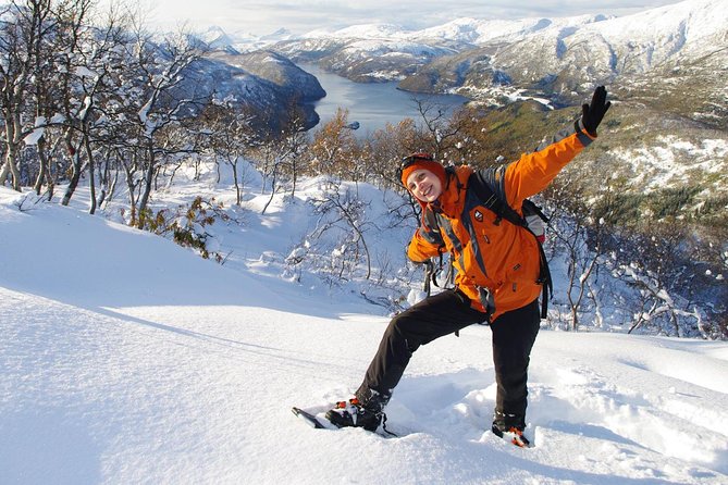 Snowshoeing - Winter Day Trip in Bodo, Northern Norway - Key points to know before you book