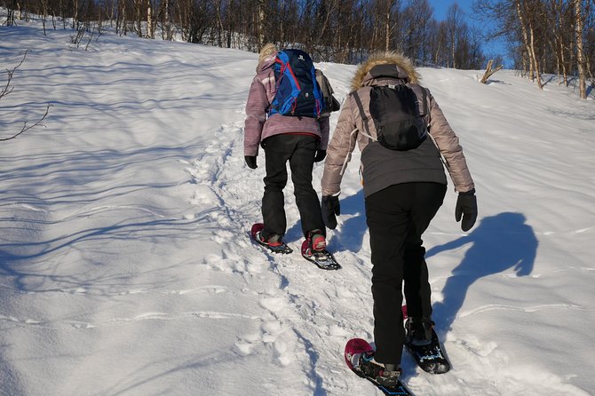Snowshoeing With A View - Is the $166.14 price fair?