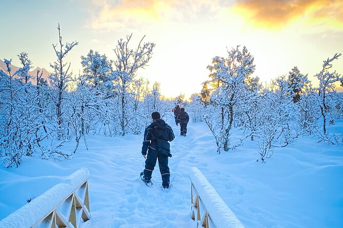 Snowshoeing with Aurora Crystal-Lavvo Overnight Stay from Tromsø - Fish soup and the first taste of camp life
