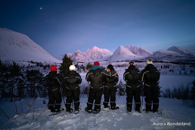 Snowshoeing with Aurora Crystal-Lavvo Overnight Stay from Tromsø - A Northern Lights night without a chase