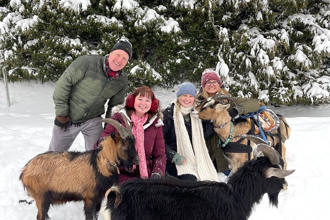 Snowshoeing with mountain goats Private activity - Key points to know before booking