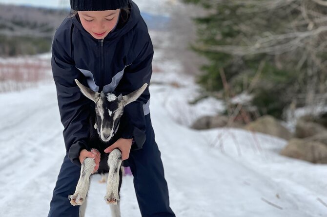Snowshoeing with mountain goats Private activity - Timing, pace, and what the afternoon feels like