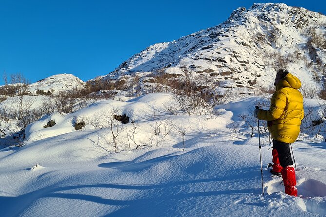 Snowshoes hike in Lofoten - A gentle pace with real Arctic air