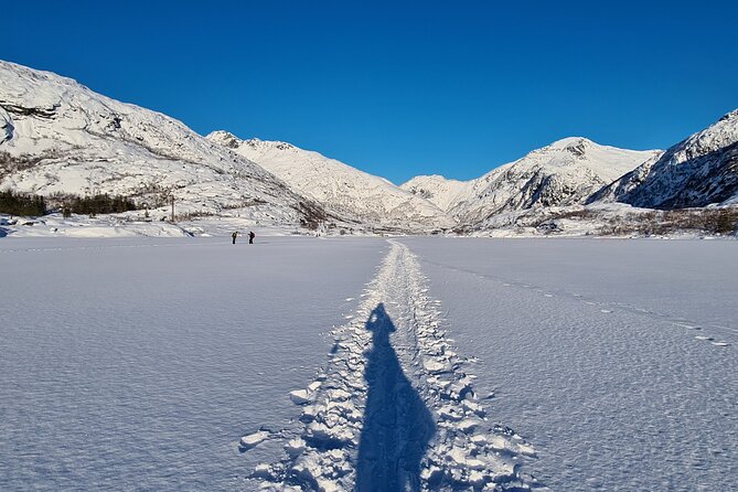 Snowshoes hike in Lofoten - Tea, coffee, biscuits, and chocolate