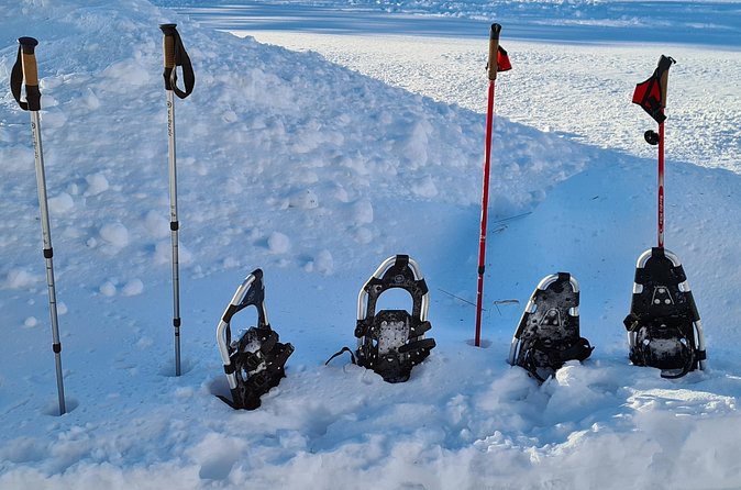 Snowshoes hike in Lofoten - Timing, cancellations, and useful planning