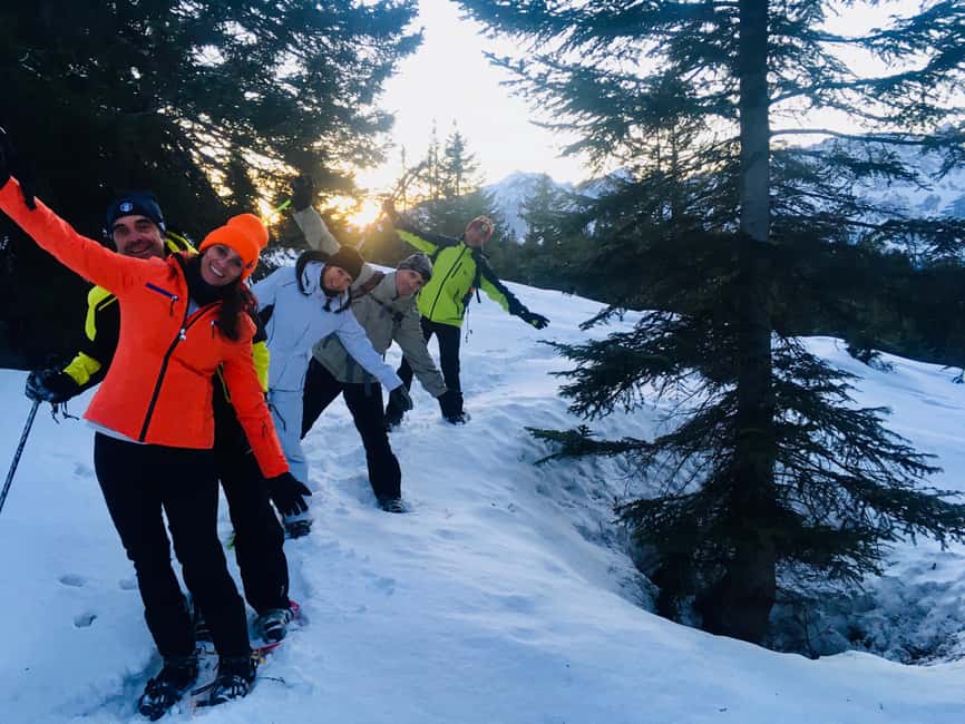 SNOWSHOES: snowshoeing at high altitude in Paganella: Monte Canfedin - Entering the Paganella woods