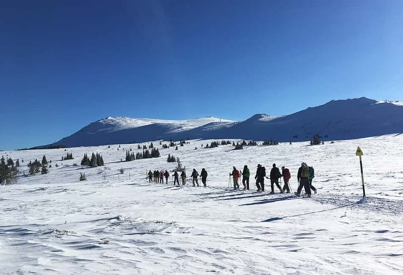 Sofia: Black Peak-Vitosha Mountain Snowshoeing Day Trip - Key points to know before booking