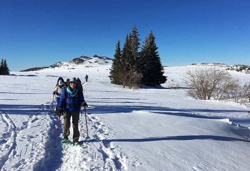 Sofia: Black Peak-Vitosha Mountain Snowshoeing Day Trip - A gentle start above Vitoshas tree line
