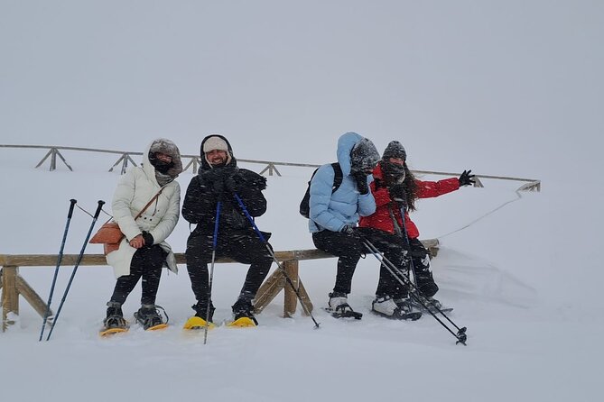 Sofia to Vitosha National Park Snowshoe Hike with Lunch time - The 9 a.m. pickup and small-group setup