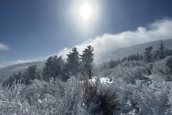 Sofia to Vitosha National Park Snowshoe Hike with Lunch time - Who will enjoy this Vitosha outing most