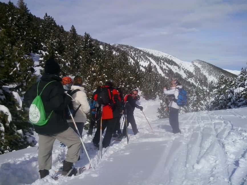Solsonès: Guided Snowshoe Hike in Port del Comte - Key points to know before you book