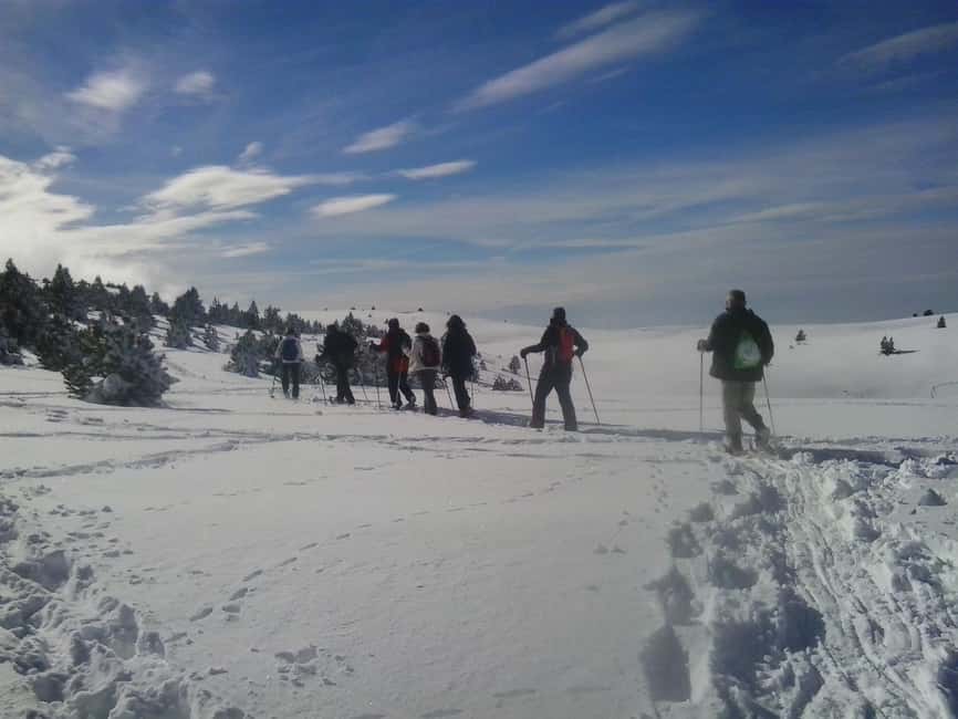 Solsonès: Guided Snowshoe Hike in Port del Comte - Starting among the snow at Port del Comte
