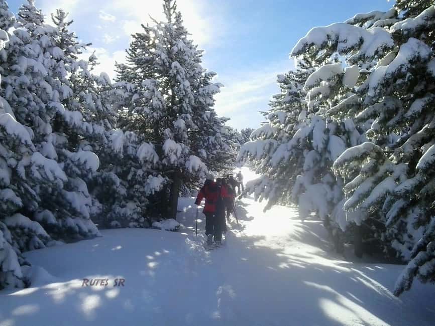 Solsonès: Guided Snowshoe Hike in Port del Comte - Crossing broad slopes with views toward the Cadí