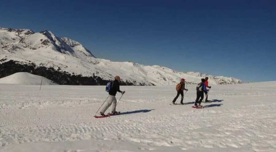 Solsonès: Guided Snowshoe Hike in Port del Comte - Practical preparation for a safe walk