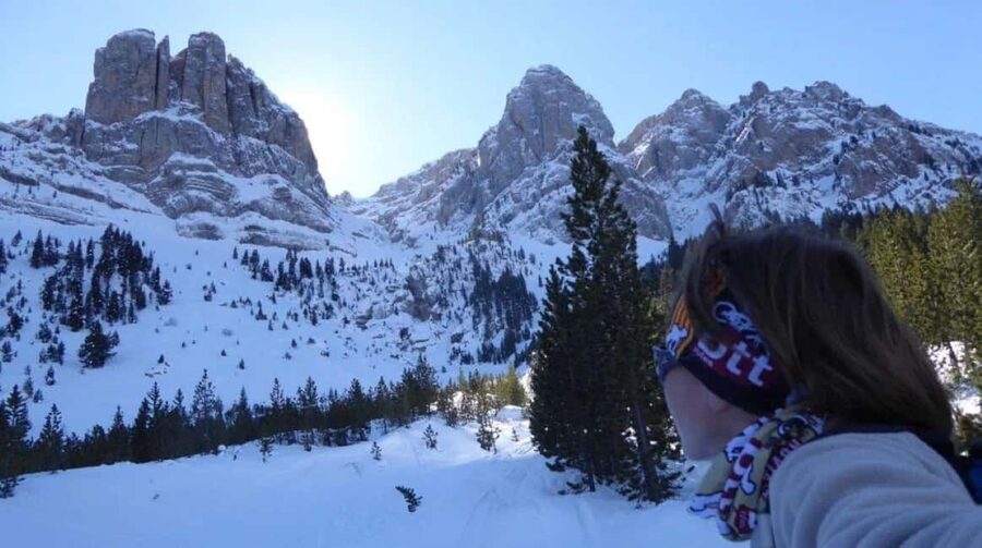 Solsonès: Guided Snowshoe Hike in Port del Comte - How this experience compares with a ski day