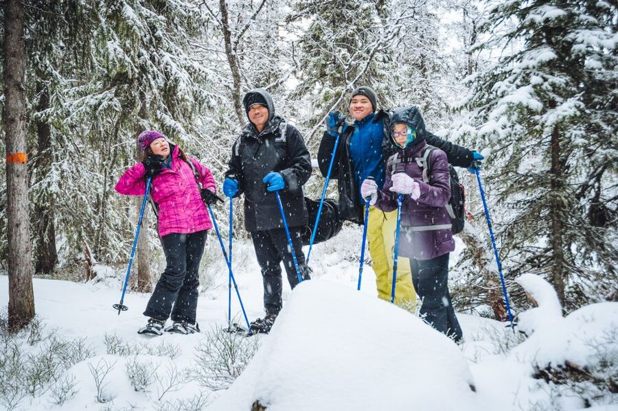 Stockholm: Winter Snowshoe Full-Day Hike - Key points to know before booking