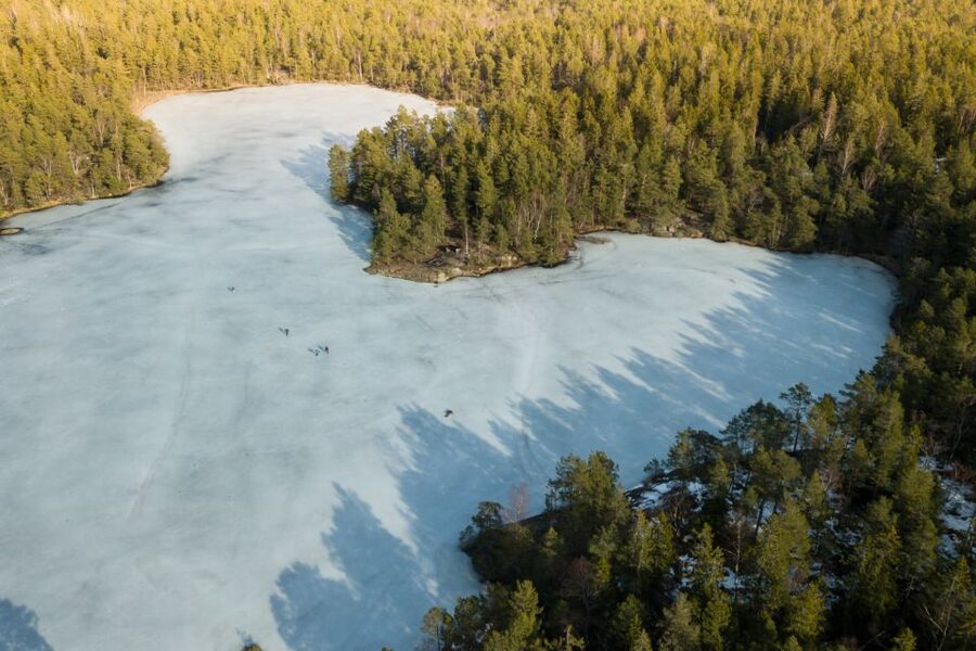 Stockholm: Winter Snowshoe Full-Day Hike - From Stockholm streets to a winter forest