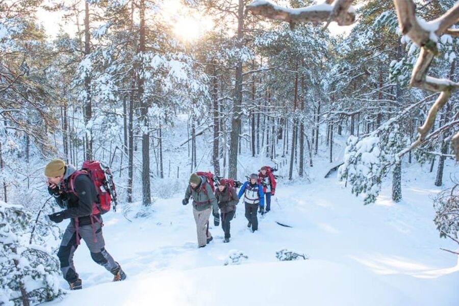 Stockholm: Winter Snowshoe Full-Day Hike - Snow-covered trees, deer tracks, and frozen water