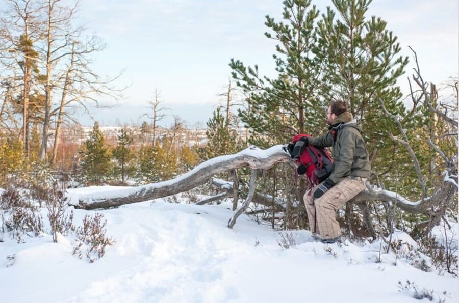 Stockholm: Winter Snowshoe Full-Day Hike - What the nature talk adds