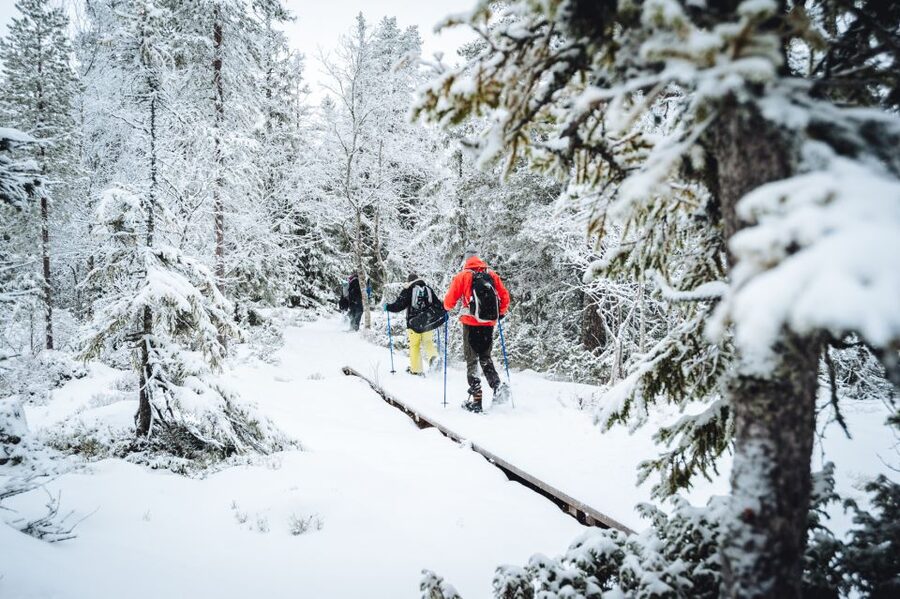 Stockholm: Winter Snowshoe Full-Day Hike - Lunch beside the campfire