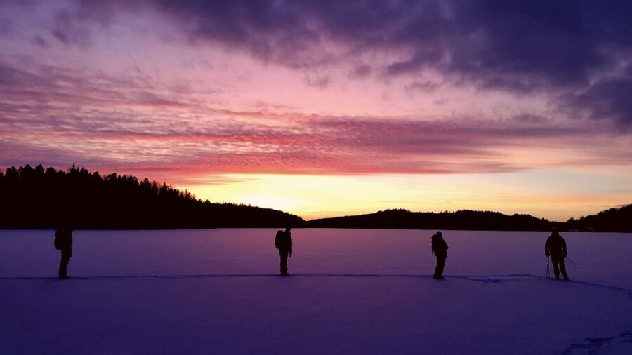 Stockholm: Winter Snowshoe Full-Day Hike - The ride back and end of the day