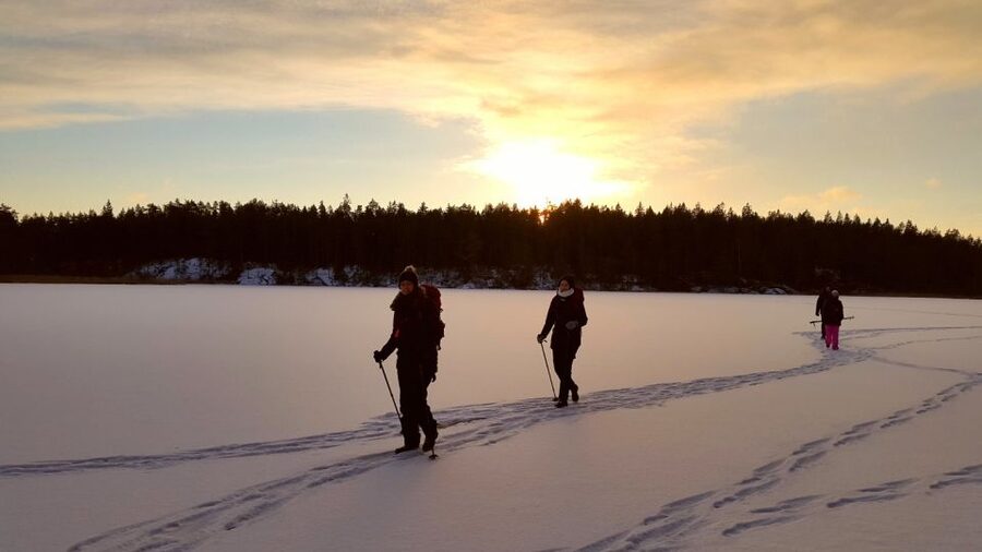 Stockholm: Winter Snowshoe Full-Day Hike - Learning to move across snow and ice