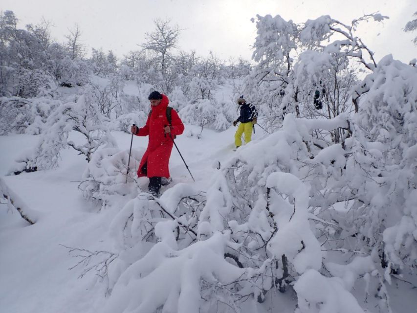 Svolvaer: Half-Day Guided Snowshoeing Tour - Following tracks through the snowy backcountry