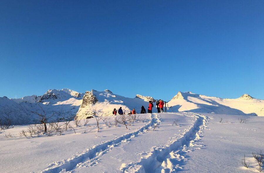 Svolvær: Snowshoe Nature Explorer - Key points to know before booking