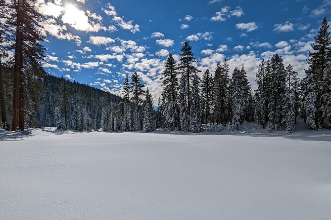 Tahoe National Forest Moonlight Snowshoe Tour Under a Starry Sky - What the guide adds to the night