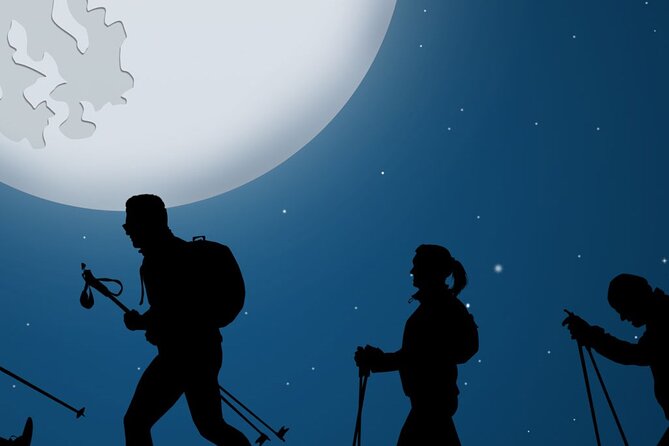 Tahoe National Forest Moonlight Snowshoe Tour Under a Starry Sky - Is the route suitable for beginners?