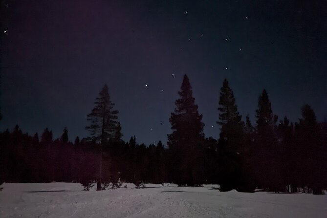 Tahoe National Forest Moonlight Snowshoe Tour Under a Starry Sky - Is $90 a fair price?