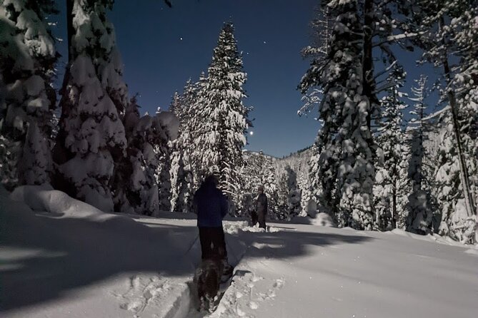 Tahoe National Forest Moonlight Snowshoe Tour Under a Starry Sky - Paige Meadows Parking is the starting point