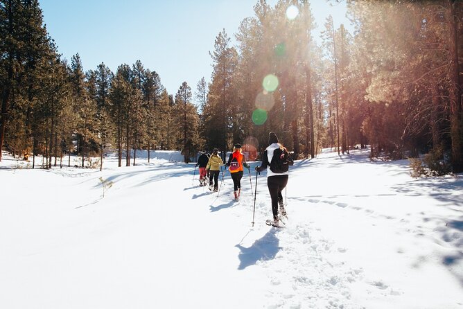 Taos Backcountry Snowshoe Tour - Key points at a glance