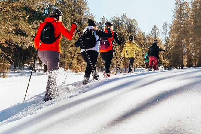 Taos Backcountry Snowshoe Tour - Who will enjoy this tour most