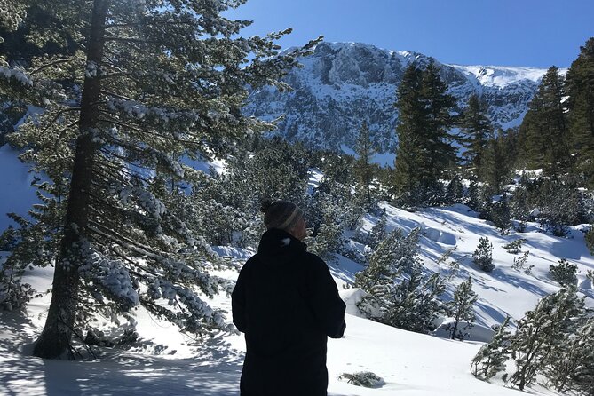 The Best of Bansko: Magical Snowshoeing Adventure & SPA - The route can be shaped around your group