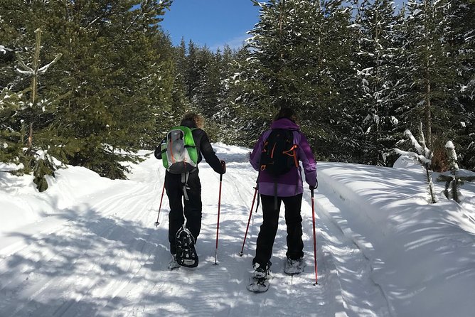 The Best of Bansko: Magical Snowshoeing Adventure & SPA - Five hours among Pirin’s snowy forests