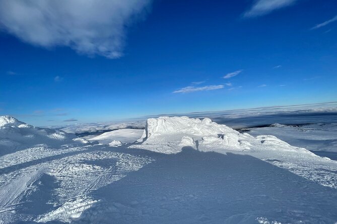 The Best of Sofia: Magical Snowshoeing Adventure in Vitosha & SPA - Who will enjoy this experience most