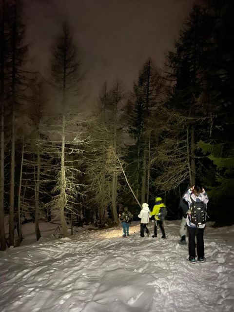The Dolomites at night with snowshoes - Starting at the Città di Fiume refuge car park
