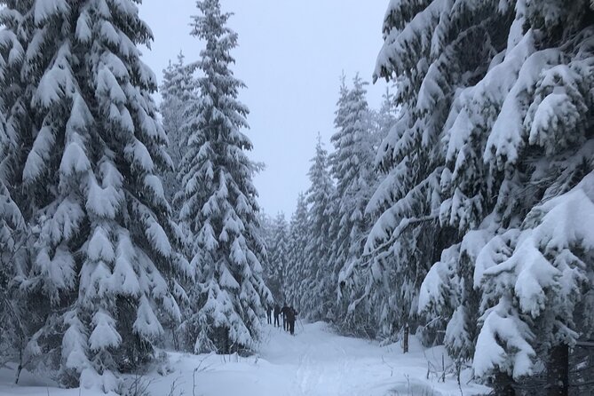 The Ultimate Norwegian Skiing Experience - Practicing in the snowy Skullerud setting