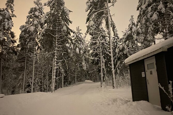 Top of Oslo Snowshoe Tour - A two-hour winter outing, not a full expedition