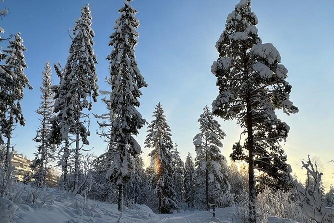 Top of Oslo Snowshoe Tour - Snowshoes in the Kittelsen forests