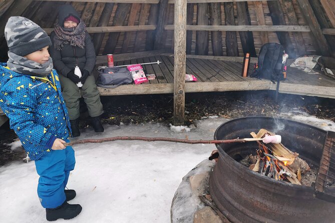 Traditional Sight-Skiing Experience in Kemi - What the $82.91 price buys you