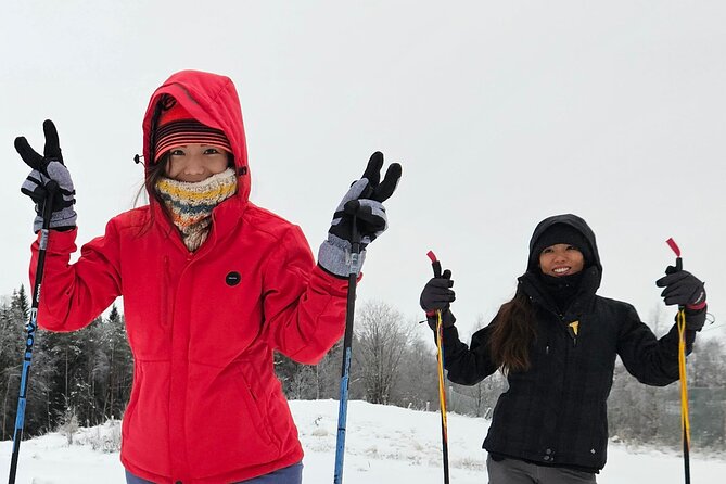 Traditional Sight-Skiing Experience in Kemi - Weather, wind, and winter comfort