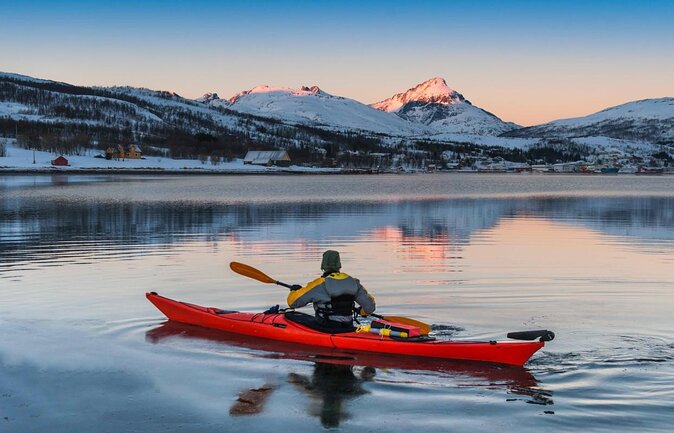 Tromsø: Arctic Landscapes Hiking / Snowshoeing Tour in the wild - Key points to know before booking