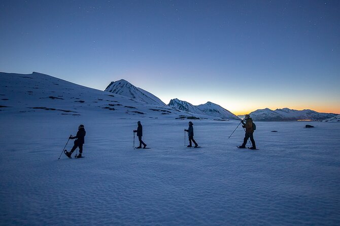 Tromsø: Arctic Landscapes Hiking / Snowshoeing Tour in the wild - From Tromsø streets to open fjord views