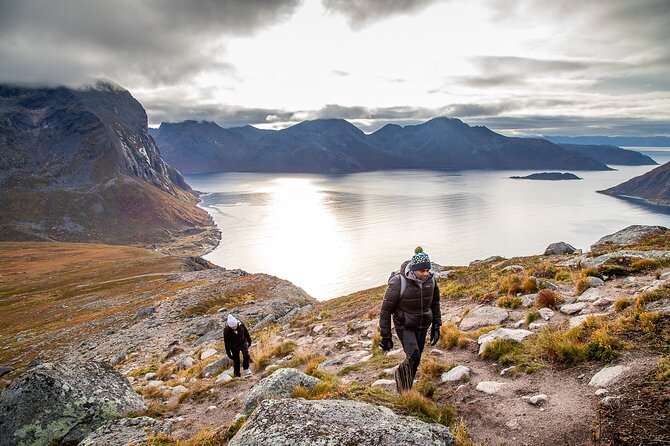 Tromsø: Arctic Landscapes Hiking / Snowshoeing Tour in the wild - Is $166.54 a fair price?