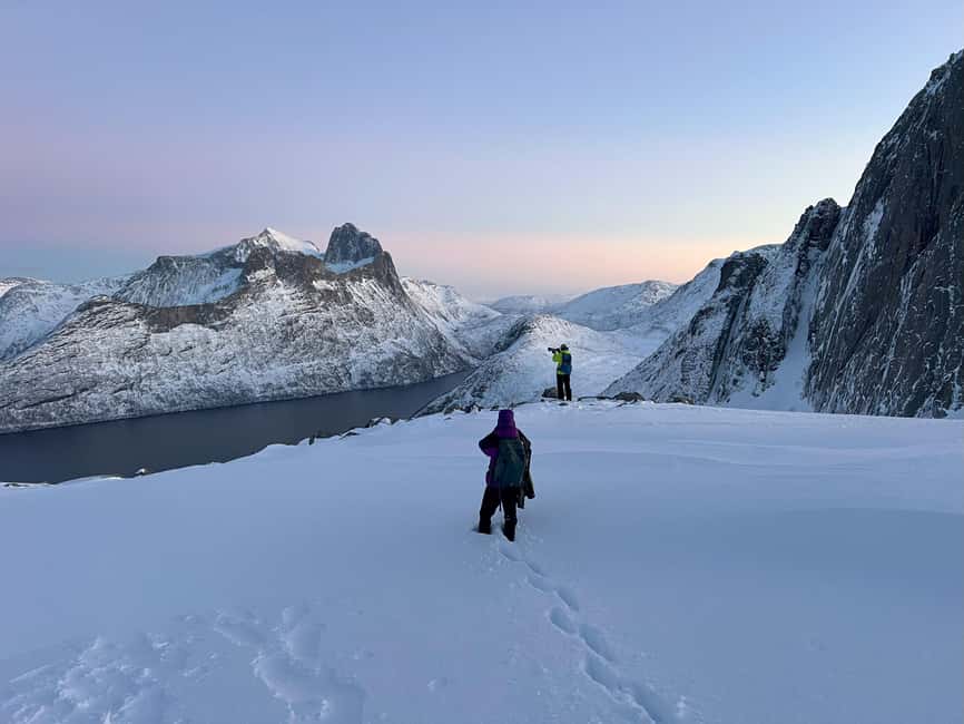 Tromsø: Arctic Sightseeing & Snowshoeing with picnic - Key points to know before booking