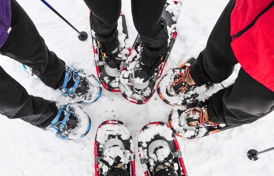 Tromsø: Arctic Sightseeing & Snowshoeing with picnic - A two-hour walk through deep snow